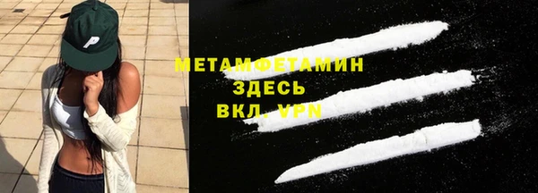 прущая мука Вяземский