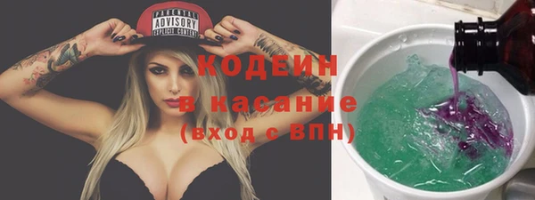прущая мука Вяземский