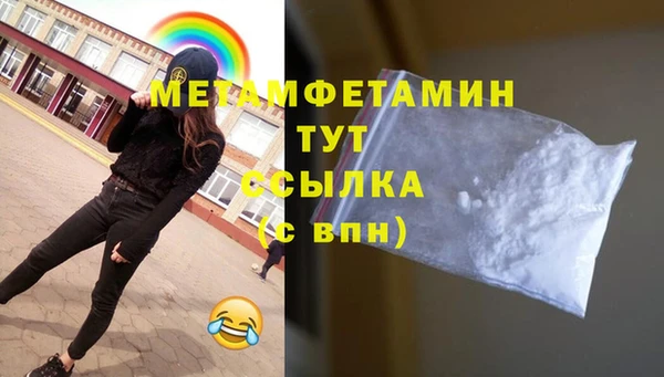 прущая мука Вяземский