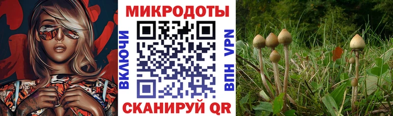 blacksprut маркетплейс  Сольвычегодск  Псилоцибиновые грибы MAGIC MUSHROOMS 